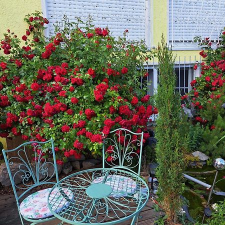 Nensi Appartement Ehekirchen Buitenkant foto