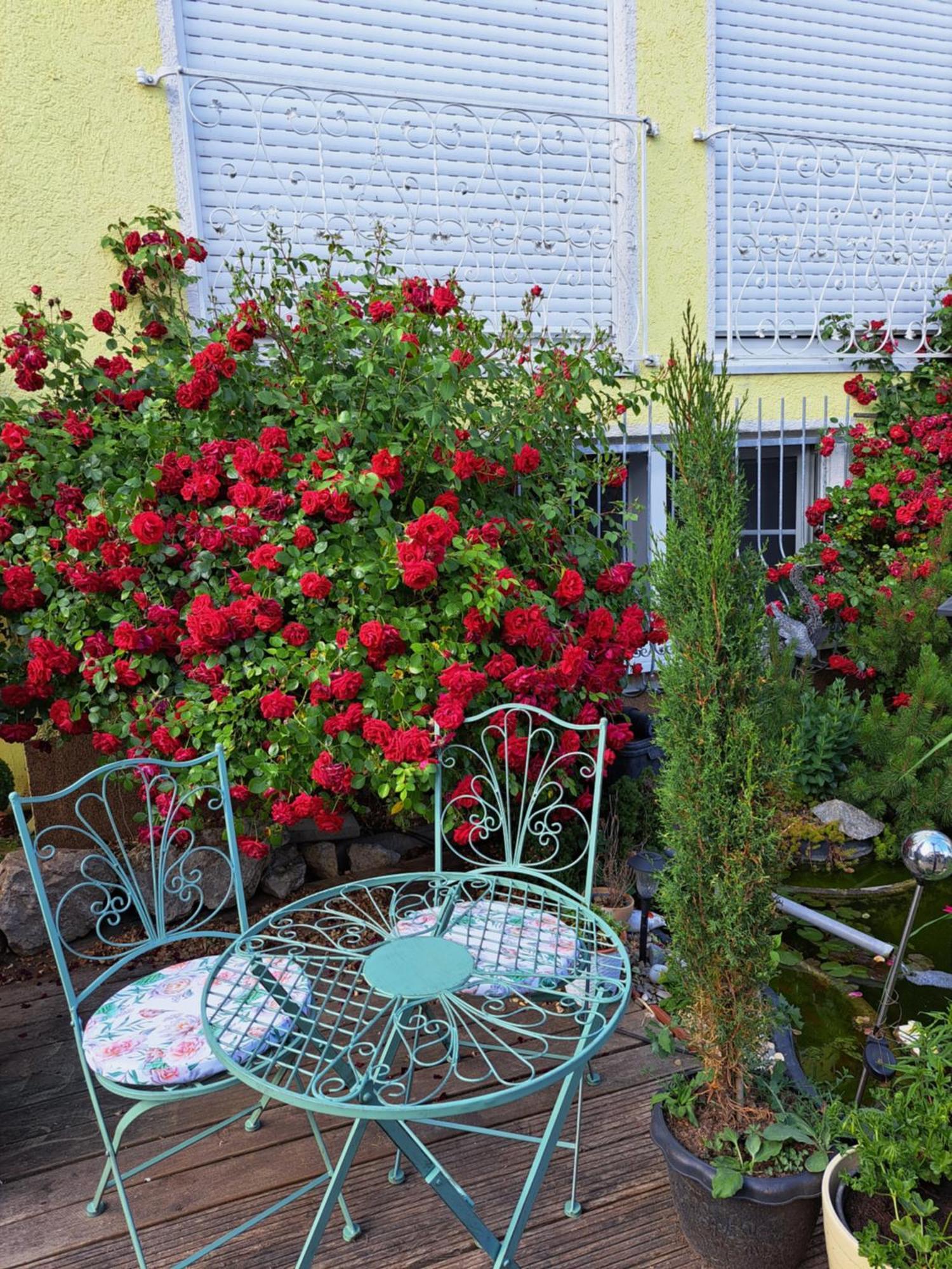 Nensi Appartement Ehekirchen Buitenkant foto